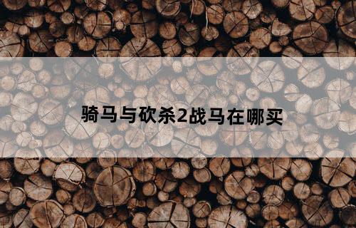 骑马与砍杀2战马在哪买？