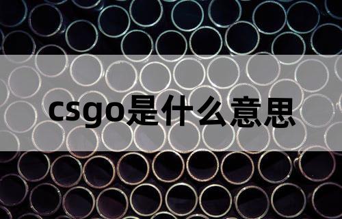 csgo是什么意思?