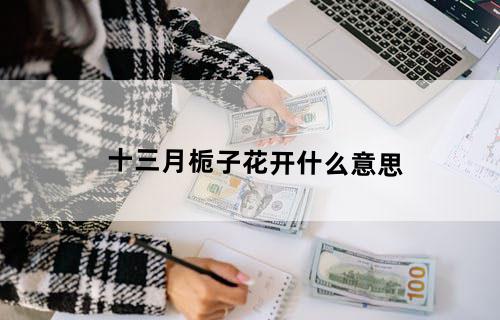 十三月栀子花开什么意思