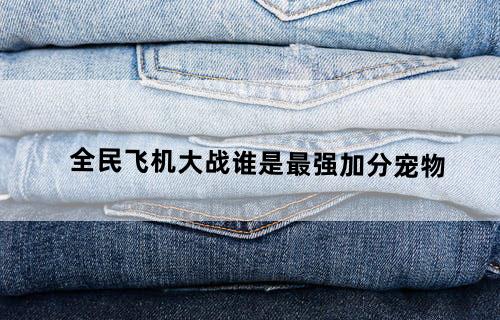 《全民飞机大战》谁是最强加分宠物