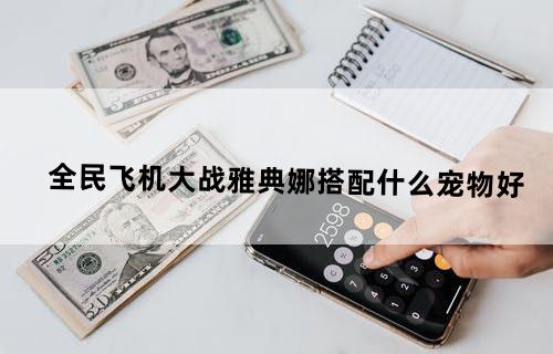 全民飞机大战雅典娜搭配什么宠物好