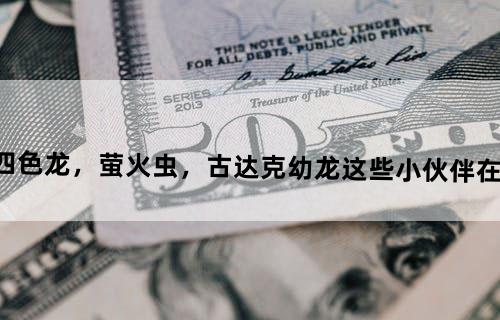 WOW，四色龙，萤火虫，古达克幼龙这些小伙伴在哪比较好刷？