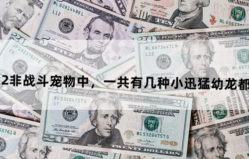 魔兽3.2.2非战斗宠物中，一共有几种小迅猛幼龙？都分布在哪？