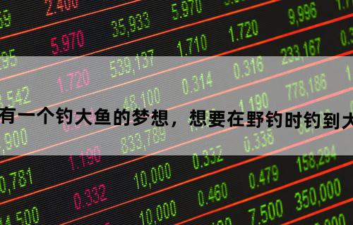 每个钓鱼人都有一个钓大鱼的梦想，想要在野钓时钓到大鱼，有什么要诀？