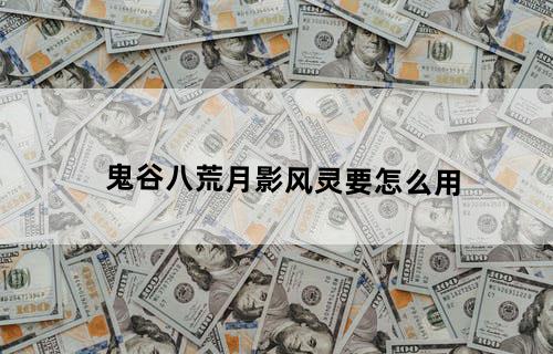 鬼谷八荒月影风灵要怎么用