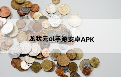 龙状元ol手游安卓APK