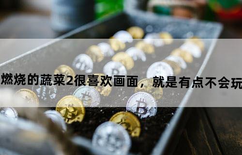 昨天我完了燃烧的蔬菜2很喜欢画面，就是有点不会玩，有游戏攻略