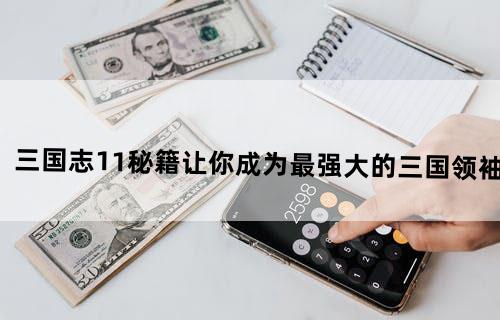 三国志11秘籍(让你成为最强大的三国领袖！)