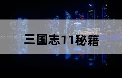 三国志11秘籍