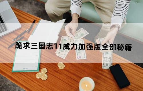 跪求（三国志11威力加强版）全部秘籍