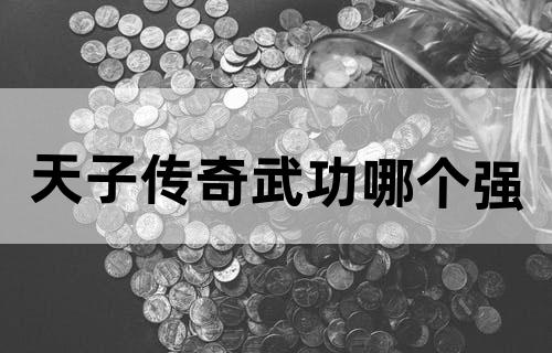 天子传奇武功哪个强？