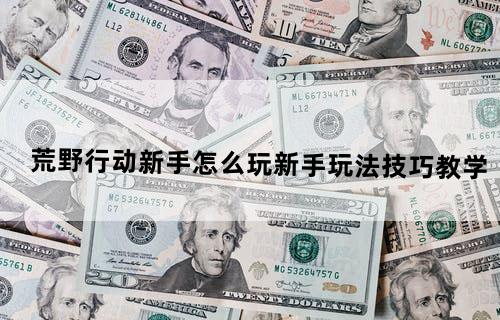 《荒野行动》新手怎么玩新手玩法技巧教学