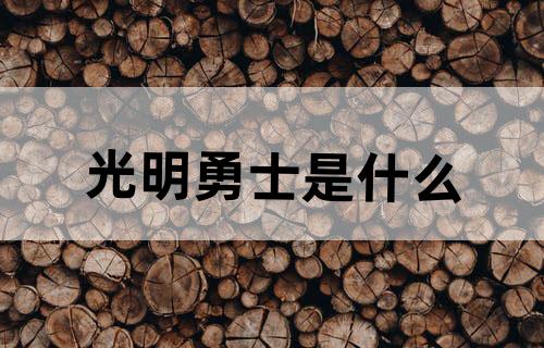 光明勇士是什么