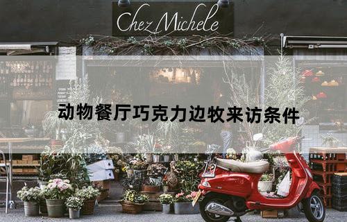 动物餐厅巧克力边牧来访条件