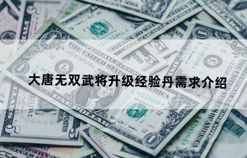 《大唐无双》武将升级经验丹需求介绍