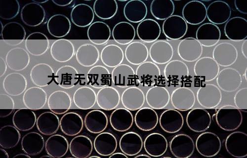 《大唐无双》蜀山武将选择搭配