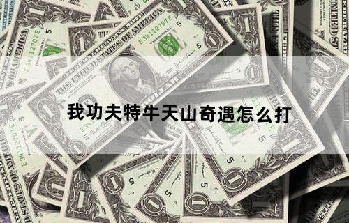 我功夫特牛天山奇遇怎么打