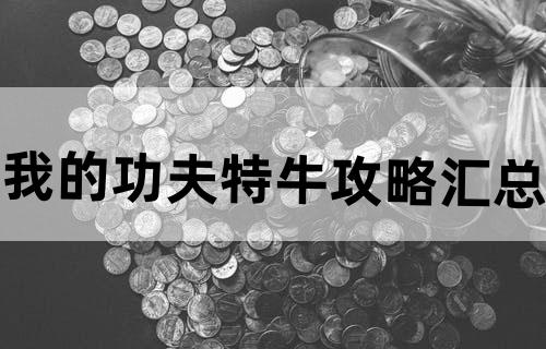 我的功夫特牛攻略汇总