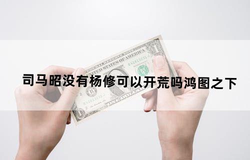 司马昭没有杨修可以开荒吗鸿图之下