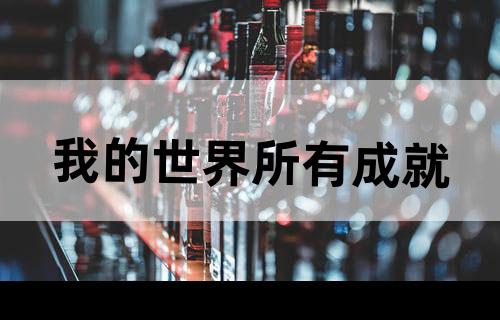 我的世界所有成就