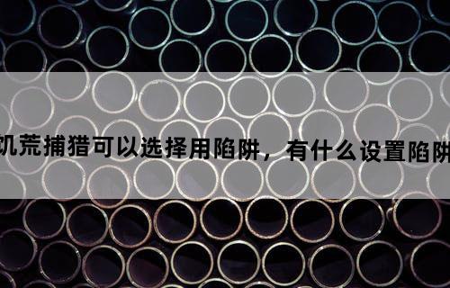 《挨饿饥荒》捕猎可以选择用陷阱，有什么设置陷阱的诀窍？