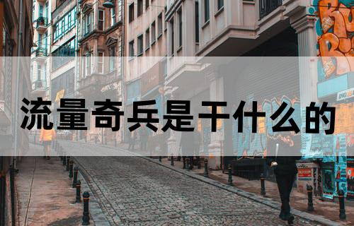 流量奇兵是干什么的