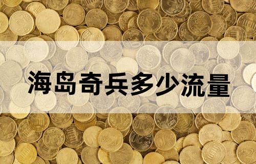 海岛奇兵多少流量