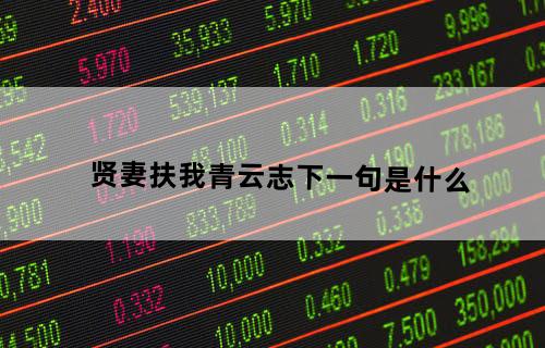 贤妻扶我青云志下一句是什么?